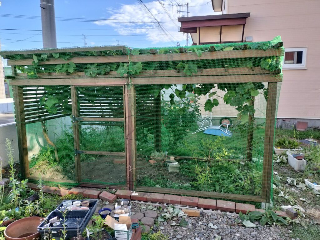 防鳥ネットを取り付けてぶどう棚へ設置した簡易ドア