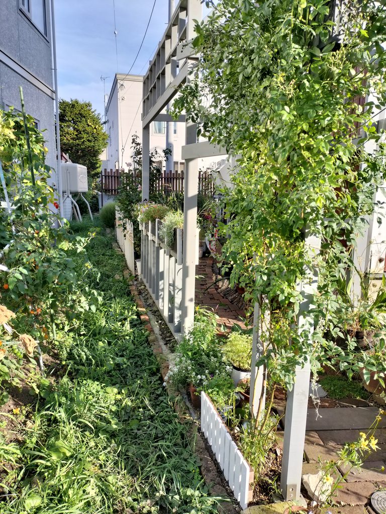 群舞とノヴァーリスを敷地内へ整理した後の庭の境界