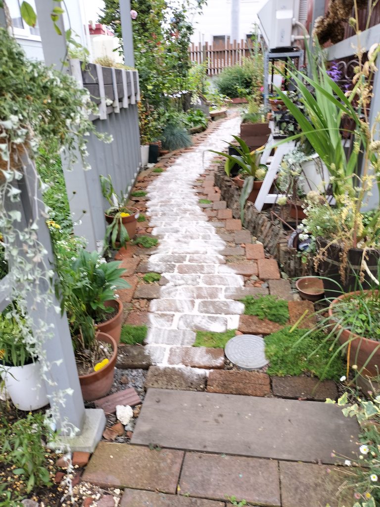 白い珪砂を目地へ補充した直後のレンガの小道
