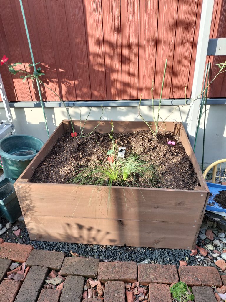 不足していた土を追加し、つるバラを植え付けた後のレイズドベッド全景