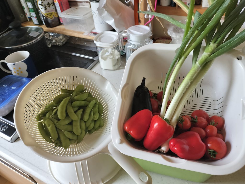 庭で収穫したトマトときゅうりとインゲン