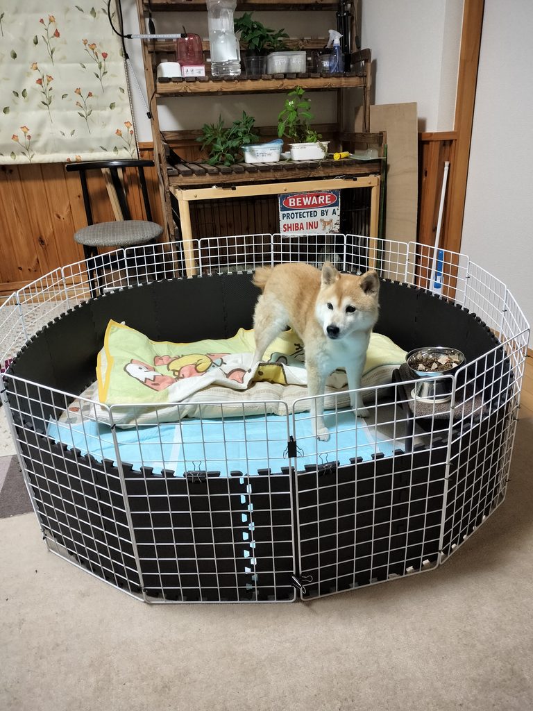 愛犬用サークルとして使っていたワイヤーラティス