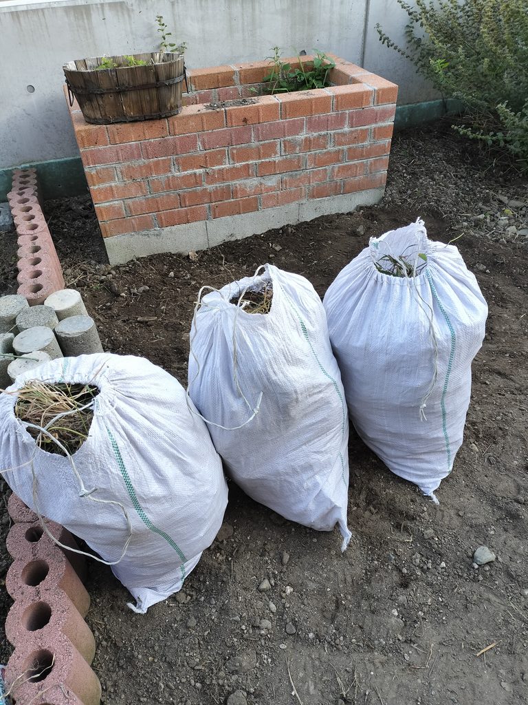 草取りで抜いた土のう袋3袋分の雑草